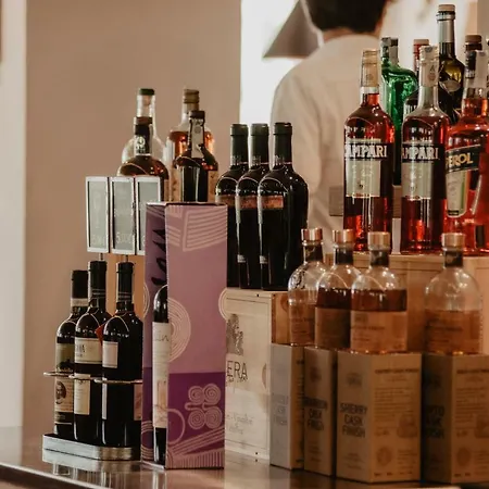 内华达酒店 酒店 博尔米奥